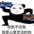 百度用户UID1091157187 华帝漫步者 楼生 的头像