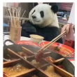 百度用户UID6521946505 lovesummer2081 null 的头像