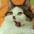 百度用户UID3029786429 杰_________jie 舛口丁乙☜ 的头像