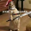 百度用户UID4879908302 null Chisco_123 的头像