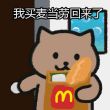 百度用户UID86396561 乌鸦猫头因 张小尼 的头像