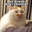 百度用户UID946670680 失剑的骑士 萝卜🐴 的头像