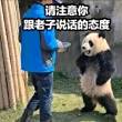 百度用户UID2729914321 忘琴孩 小小骑士ლ 的头像