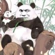 百度用户UID3816062134 一曲断魂X 危机♋终结 的头像