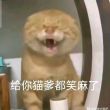 百度用户UID6714678789 赶快加速02 🍞🐶的耄耋 的头像