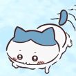百度用户UID5817848723 七叶六角 有酸素野良猫 的头像