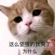 百度用户UID573687826 smiling_cn1 李丽 的头像
