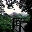 百度用户UID1506775810 Azithromycin_ null 的头像