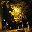 百度用户UID3032320848 王晓伟500 老實人º▫ 的头像