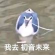 百度用户UID819868078 null 假小子一定要是假的# 的头像
