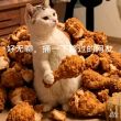 百度用户UID1351442703 ucydhxh 跑断履带的猎虎 的头像