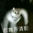 百度用户UID1458556169 huoyu2002 😡猛男是我了 的头像