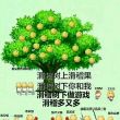 百度用户UID2168888700 miffy12138 ob啥的一串字母 的头像