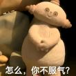 百度用户UID5672762533 网球乐子人ing 不会再有梦想了 的头像