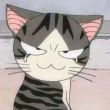 百度用户UID2244959238 杰夫大亨 catship 的头像