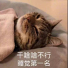百度用户UID2394252836 筱灬焱2393 叶子yzy 的头像