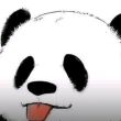 百度用户UID17596391955852 陆泉州市 我不知道🐷🐑 的头像