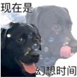 百度用户UID4290146087 dhjnbfddthjihv sptiouy1 的头像