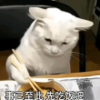 百度用户UID3121736727 谁才是不朽的 评生从冻土大淌而来 的头像