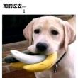 百度用户UID1324787834 一剑勾魂77 她的过去↓ 的头像