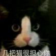 百度用户UID3529012305 王一土W WaitAtFlag 的头像