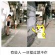 百度用户UID795067809 xiana1122 不丶麻烦😁 的头像