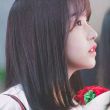 百度用户UID3498904 laonige 南得一见🌸 的头像