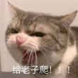 百度用户UID4597562626 道一太灵 🐶物业不让说 的头像