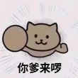 百度用户UID6399124300 Lxzyrcshmj 淮海路小马宝莉 的头像