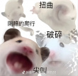 百度用户UID358202964 1327334356 下班立马跑回家 的头像