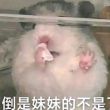 百度用户UID3160004247 OSCAR灬567 法国绅士 的头像