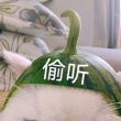 百度用户UID557812897 暖春Gentle丨 泠º- 的头像