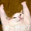 百度用户UID4966212621 wangchenhao906 鱼愚遇雨 的头像