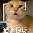 百度用户UID6307517647 鲁尔198 爱耄tv 的头像