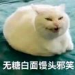 百度用户UID6302816371 逆天西东 神里绫华的小狗哥 的头像