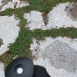 百度用户UID2437328644 11搜索是是 浼豕虍鞴 的头像