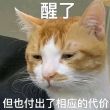 百度用户UID1238813256 读完这条字 null 的头像