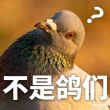 百度用户UID5594245465 轻松熊有小烦恼 null 的头像