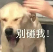百度用户UID4273669005 想发呆i 番茄炒蛋吃甜的 的头像