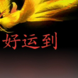 百度用户UID2160516166 食人猪猪 null 的头像