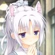 百度用户UID665203408 爱理momoko NekoMmk 的头像