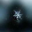 百度用户UID498010053 Black￠六芒雪 ￠六芒雪 的头像