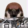百度用户UID7070785777 ak47datfd 坠机神影逝三度 的头像