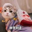 百度用户UID3543782837 秋梨梨梨梨梨 秋栗糕◆ 的头像
