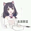 百度用户UID2461768346 金纽市旅行男高 吃谎言的猫屋º 的头像