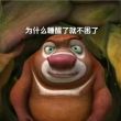 百度用户UID1731606484 抄微蓝猫 xhyq 的头像