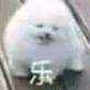 百度用户UID17596416517556 sh_dhubzsh Stand Pow 的头像