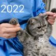 百度用户UID3220080309 wueeeeee_137 null 的头像