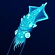 百度用户UID963991868 爽朗的dfsaf Squid🐙 的头像