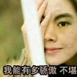 百度用户UID2408985348 流光半夏琉璃梦 夤夜杪冬 的头像